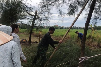 Tập thể trường TH xã Quang Trung khắc phục sự cố sau bão.